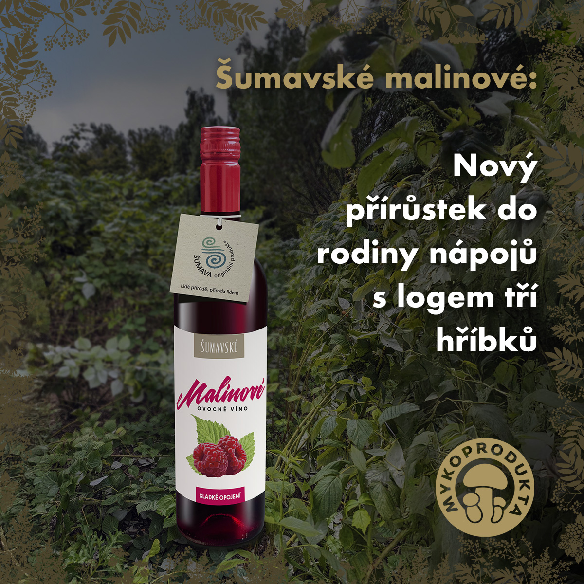 MS žen v hokeji